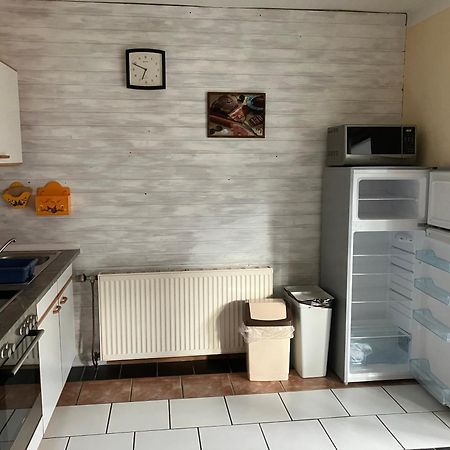 Ferienwohnung Haus Cerny Bad Goisern Zewnętrze zdjęcie